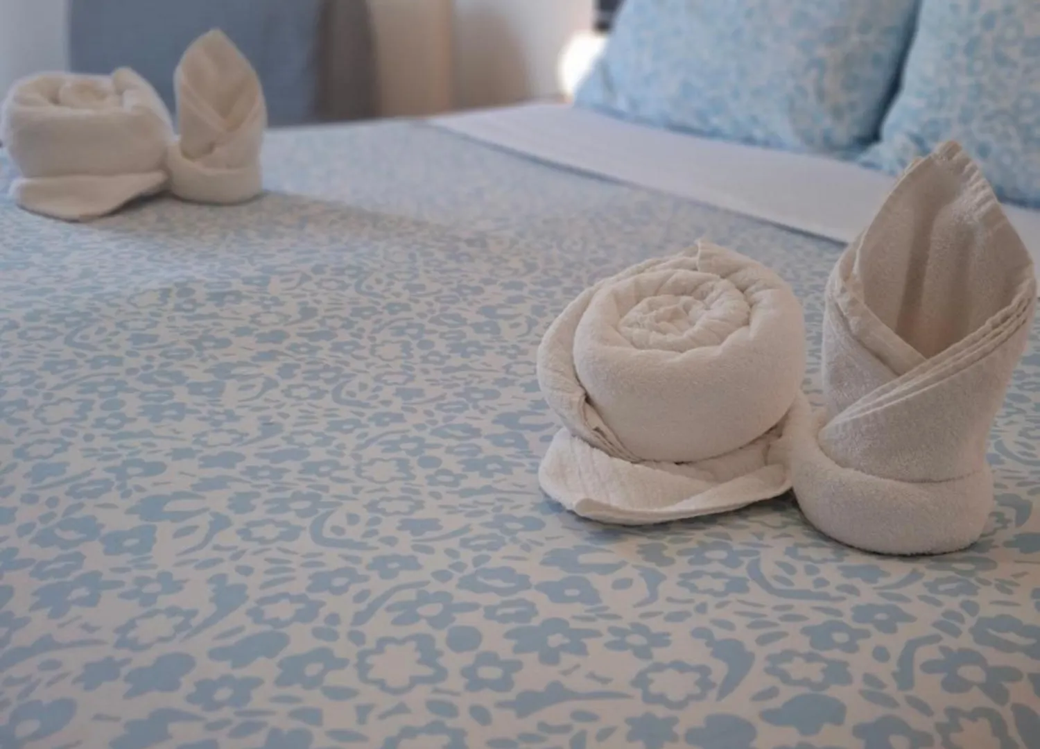 Bed & Breakfast Luma Rooms Rome Italy